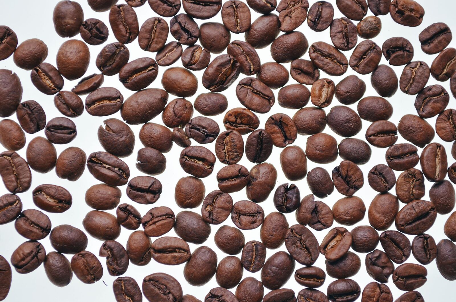Roasted coffee beans