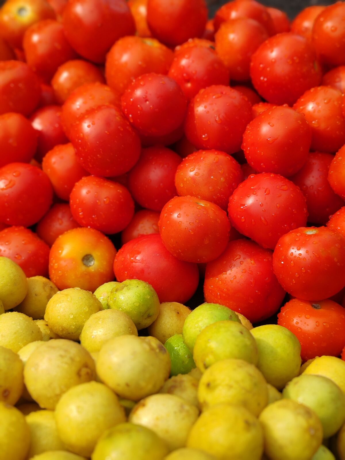 Fresh tomatoes and lemons at market